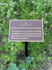 Memorial plaque for Janet Correia in a garden setting