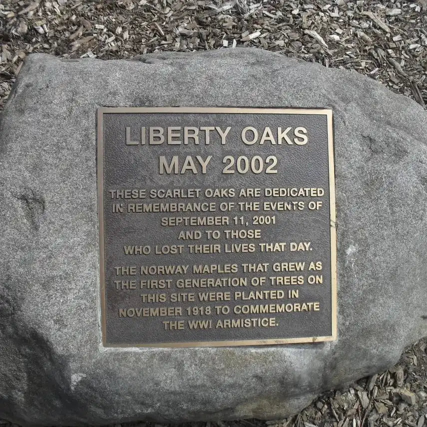 Bronze Memorial Plaques for Graves – Personalized Memorial Signs