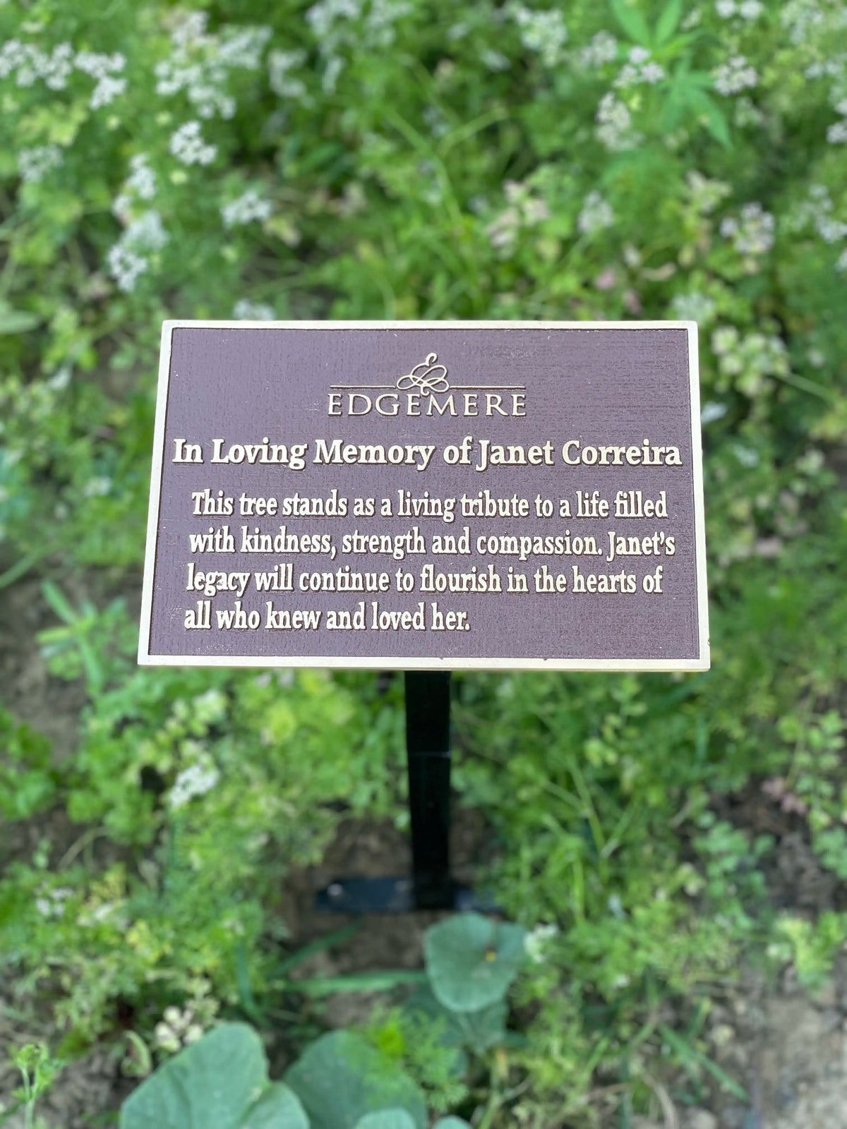 Memorial plaque for Janet Correia in a garden setting