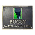 Memorial plaque for a horse named Bugsy with a photo and dates on a dark background