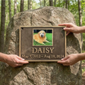 Memorial plaque for a dog named Daisy being held against a rock in a forest.